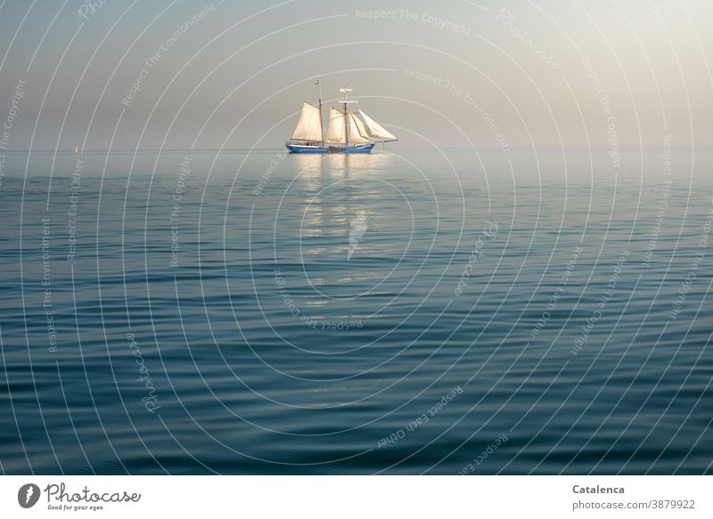 Ein Plattbodenschiff  auf dem IJsselmeer Segelboot Zweimaster segeln Meer Wasser Sommer Horizont Himmel Tag Tageslicht Wellen Dünung Nordsee Spiegelung