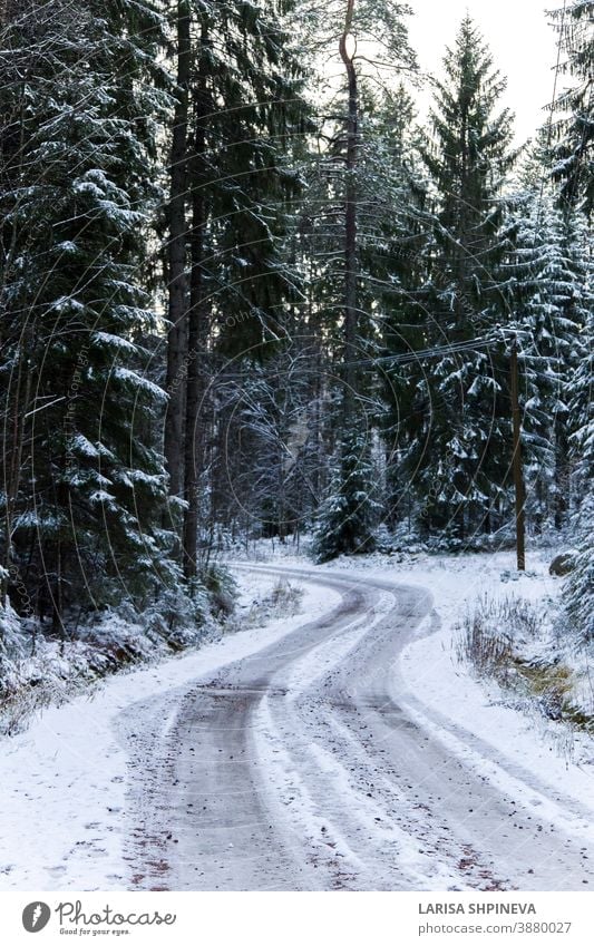 Verschneite Strasse im Winterwald. Wunderschöne frostig weisse Landschaft. verschneite Straße Saison Wald Eis Szene Weihnachten Baum Tag PKW frieren im Freien