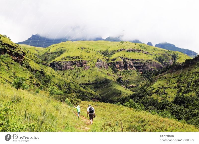 wandernde jungs III Sonnenlicht Kontrast Licht Tag Außenaufnahme Fernweh schön traumhaft Südafrika Drakensberge Farbfoto Sohn grün blau fantastisch exotisch