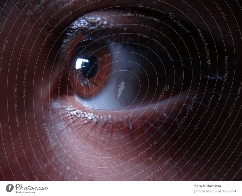 Nahaufnahme eines braunen Auges. braunes Auge Wimpern Augenfarbe Makroaufnahme Regenbogenhaut Mensch