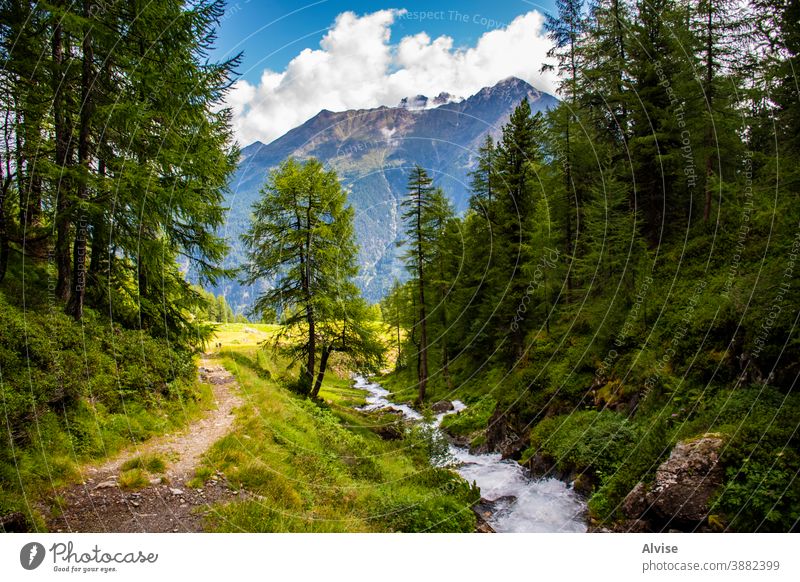 Bäche in den Südtiroler Alpen acht Österreich Tirol strömen szenische Darstellungen Szene fließend fallen Aufstieg Mut gefährlich Gipfel Sport Trekking
