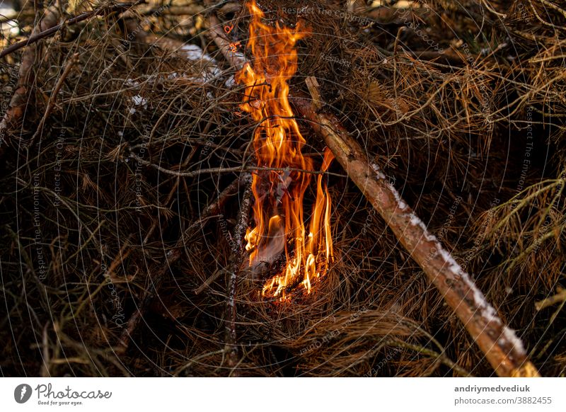 verbranntes Brennholz im Kamin und Feuer aus nächster Nähe Feuer brennt Rauch Feuerflamme Lager Textur Kohle Licht rot Hintergrund Freudenfeuer Lagerfeuer