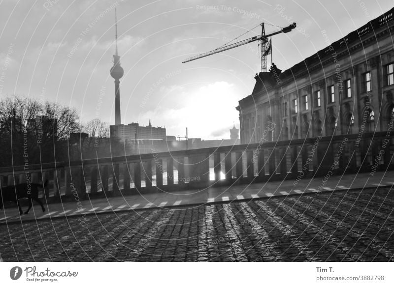 Winter in Berlin Mitte an der Spree . Die Morgensonne wirft Schatten. River Fluss Wasser Hauptstadt Außenaufnahme Stadt Menschenleer Stadtzentrum