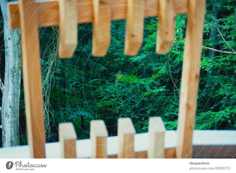 Ein außergewöhnlicher Ausblick auf den Wald. Ein ausgesägter Mittiger Lattenzaun mit wunderschönen Blick, von einer Aussichts Platform auf den Grünen Wald.