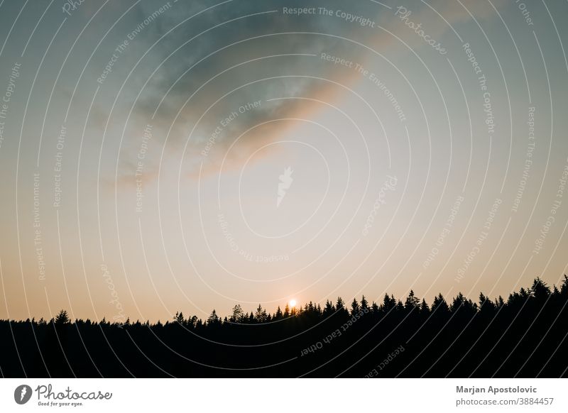 Wunderschöner Sonnenuntergang über dem Kiefernwald Abenteuer Air Hintergrund blau Windstille Cloud Morgendämmerung dramatisch Abenddämmerung Immergrün erkunden