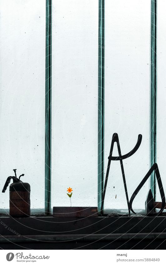 Industrieromantik. Blümchen als Stimmungsaufheller auf der Fensterbank am düsteren Arbeitsplatz Blume Kunstblume Glasfenster industriefenster Ölkanne Hammer