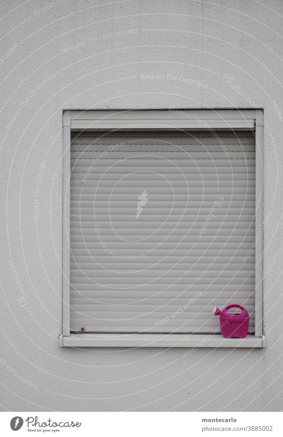Eine Pinkfarbene Gießkanne in der Ecke eines Fensters mit geschloßenem Rolladen Giesskanne Weiß Hauswand verputzt