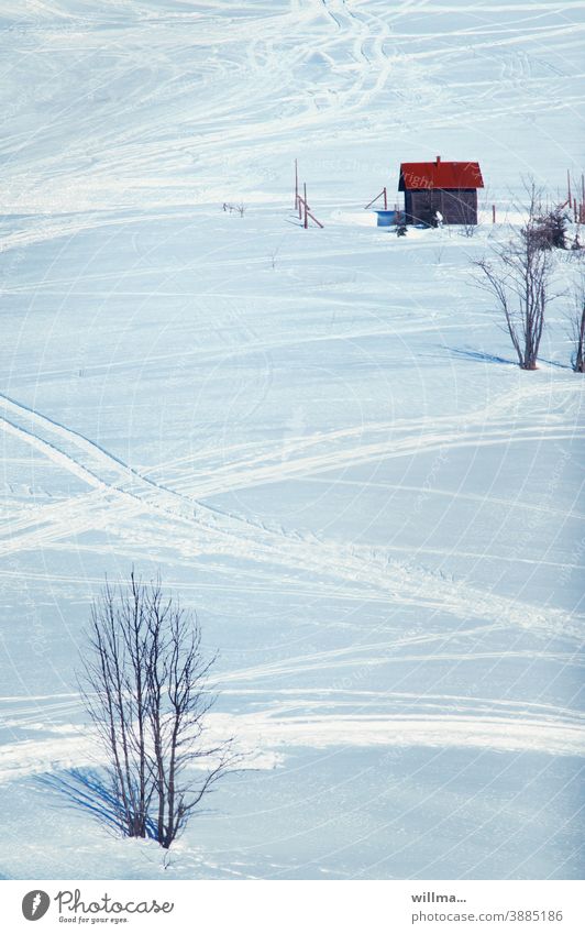Der kahle Strauch in der Winterlandschaft und das kleine Holzhäuschen mit dem roten Dach am verschneiten Schihang. Und natürllich viele Loipen. winterlich