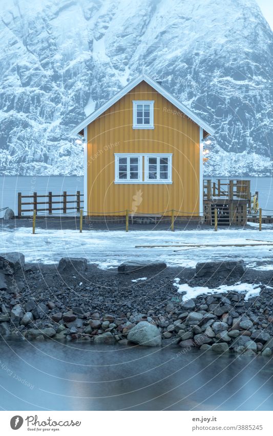Gelbe Hütte am Fjord in Reine auf den Lofoten gelb Haus Rorbuer Fischerhütte Ferienhaus Norwegen Reinefjorden Winter Schnee Skandinavien Dämmerung Abend Berg