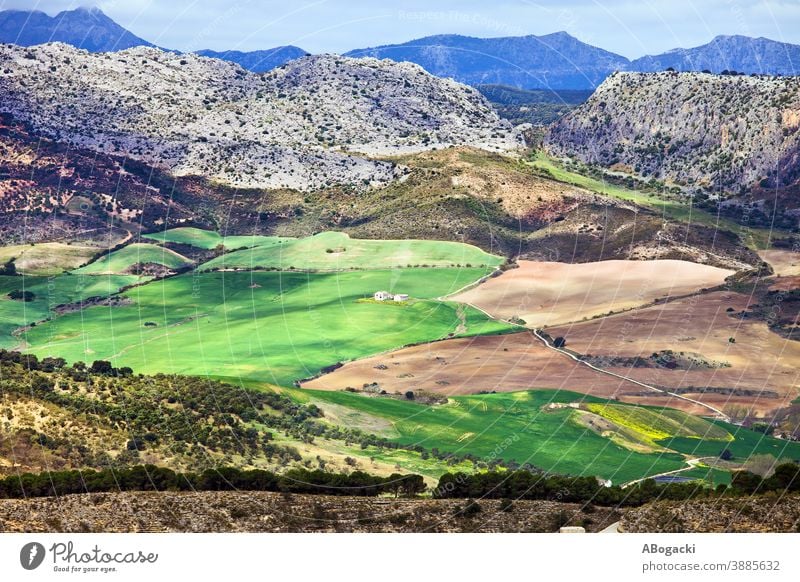 Andalusiens Landschaft in Spanien Ackerbau andalusisch Andalusia schön kultiviert Umwelt Europa Bauernhof Ackerland Feld Laubwerk Grasland grün Grün Hügel