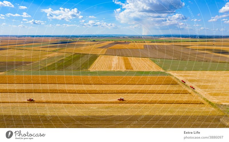 Draufsicht auf zwei Mähdrescher, Erntemaschinen, erntereifen Mais und blauen Himmel mit weißen Wolken oben Antenne landwirtschaftlich Ackerbau Müsli