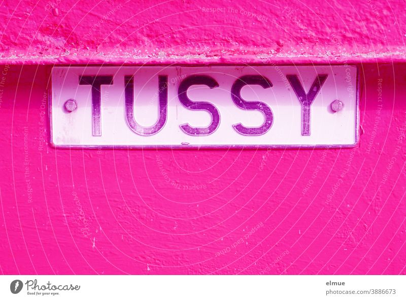 "TUSSY" steht auf einem Blechschild an einer pinkfarbenen Metallplatte / pink / Farbe Tussy Schild Name Vintage Tusse Tussi auffallen stylisch retro