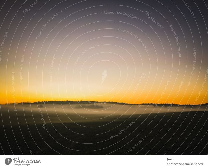 Herbstlicher Sonnenuntergang im Nebel | Horizont leuchtet orange und blau | Nebelschleier liegt in den Bäumen Nebelstimmung Natur Nebelbank Nebelmeer Nebeldecke