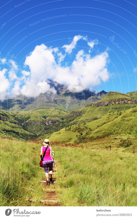 willkommen 2021...auf zu neuen bunten wegen! Sonnenlicht Kontrast Licht Tag Außenaufnahme Farbfoto Fernweh entdecken staunen Drakensberge Südafrika fantastisch