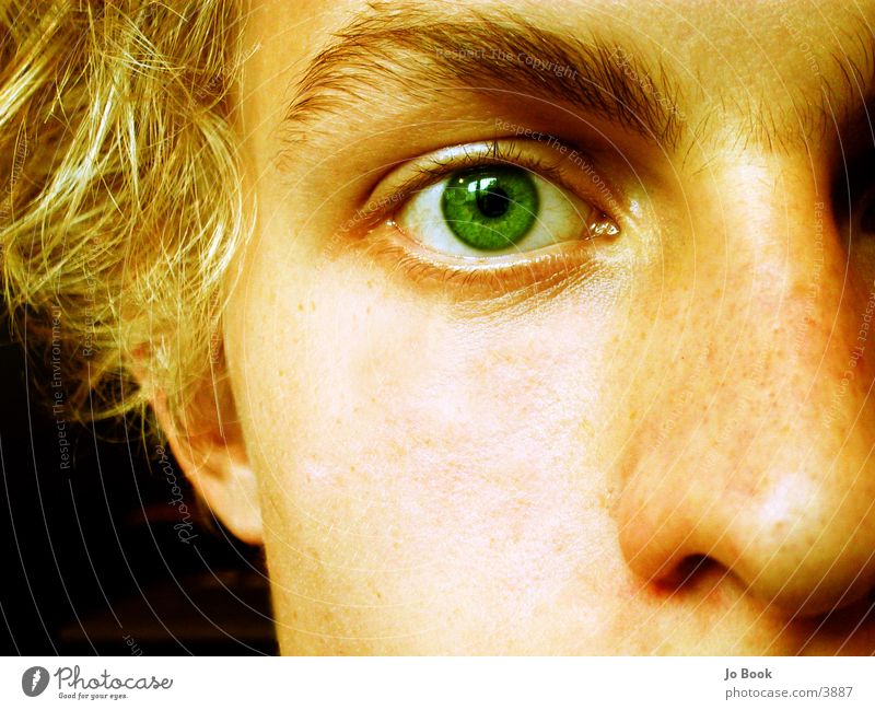 Just apart of me grün Augenbraue blond träumen Hälfte Wange Mann Jo Nase Haare & Frisuren Blick grünes Auge Teile u. Stücke Gesicht leer Tiefsinn