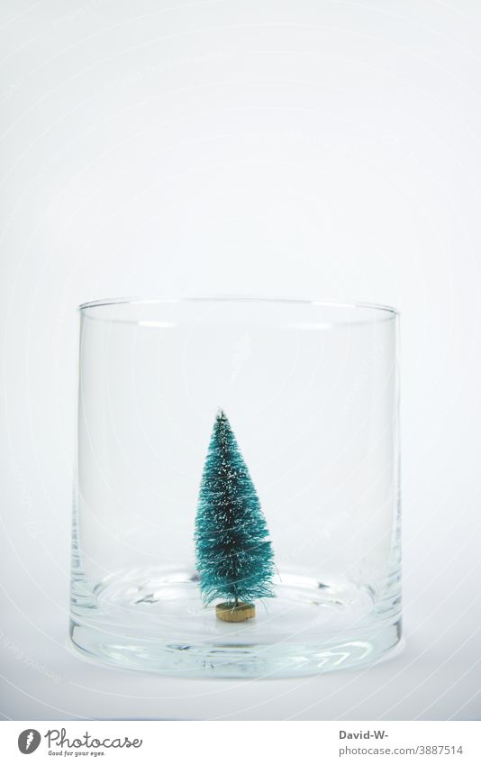 miniatur Weihnachtsbaum / Tannenbaum in einem Glas als Weihnachtsdekoration Weihnachten & Advent Miniatur weihnachtlich weiß niedlich Feste & Feiern festlich
