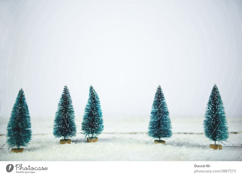 Weihnachten - Tannenbäume miniatur in einer Schneelandschaft Miniatur Winter Winterstimmung winterlich Wintertag weiß Winterwald