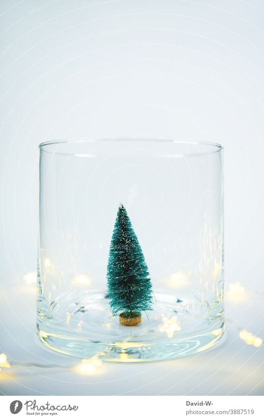 Weihnachtsdekoration - Miniatur Weihnachtsbaum mit Lichterkette in einem Glas Weihnachten & Advent Tannenbaum Platzhalter weihnachtlich leuchten