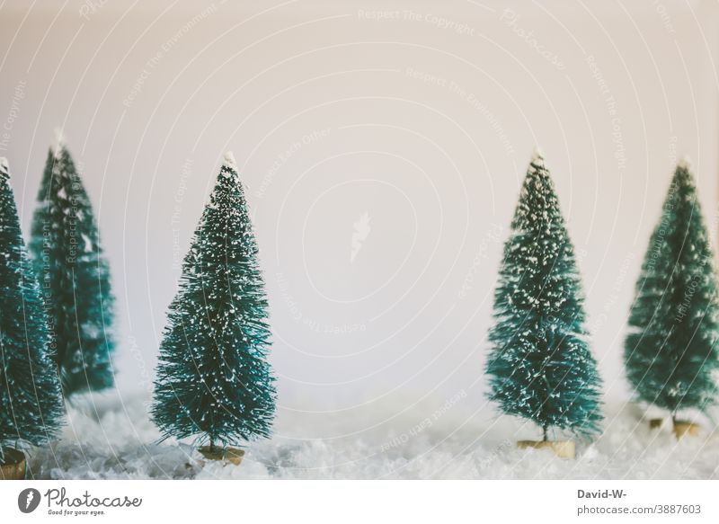 Weihnachtsdekoration - verschneite Tannenbäume zu Weihnachten Weihnachten & Advent winterlich Winter Schnee weihnachtlich Tannenduft Dekoration & Verzierung