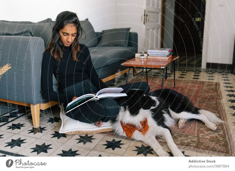 Nachdenkliche Frau liest Buch im Zimmer mit Hund lesen heimwärts Zusammensein interessant sich[Akk] entspannen nachdenklich Border Collie ethnisch Inder Etage