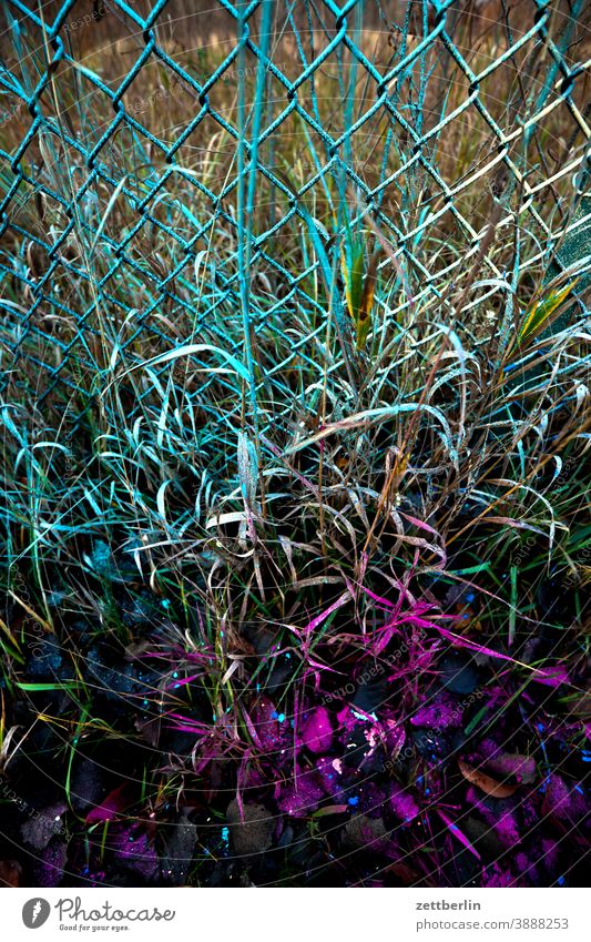 Besprühter Maschendraht bunt farbe farbig ferien garten gesprayt gras grenze herbst kleingarten kleingartenkolonie maschendraht maschendrahtzaun menschenleer