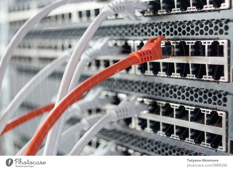 Funktionierende Netzwerk-Hardware im Rechenzentrum Infrastruktur Server Datenzentrum Schalter Internet IT Ablage Kabel montiert rj45 Wiederherstellung arbeiten