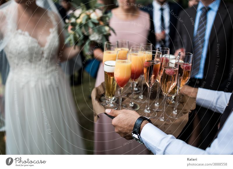 Kellner im Hemd trägt Tablett mit Aperitif auf Hochzeit, Braut im Hintergrund Sekt Sektglas Alkohol Champagner Prosecco Schwache Tiefenschärfe Feste & Feiern