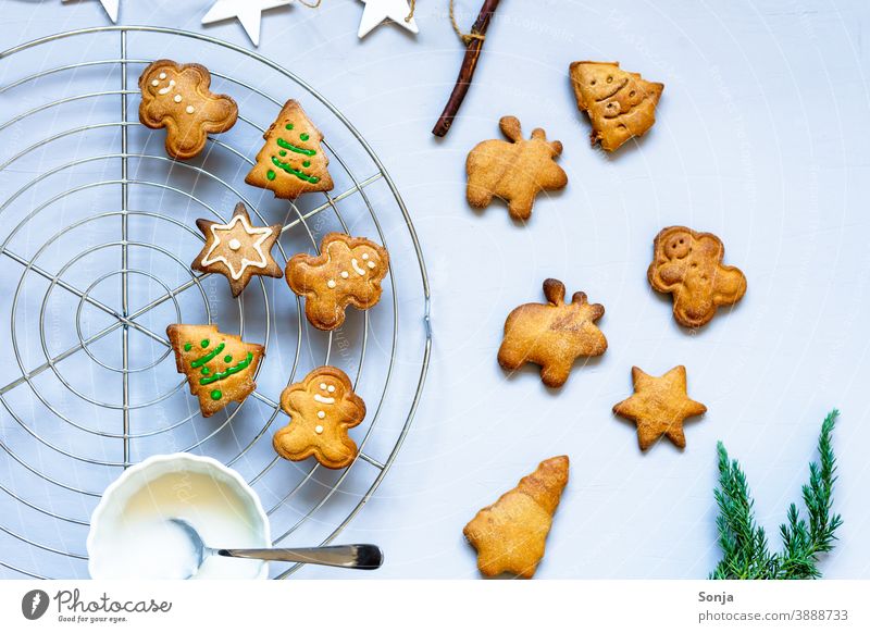 Lebkuchen Kekse verzieren mit Zuckerguss auf einem Gitterrost Zuckerguß gebacken Weihnachten & Advent selbstgemacht Dekoration & Verzierung Feiertag Tradition
