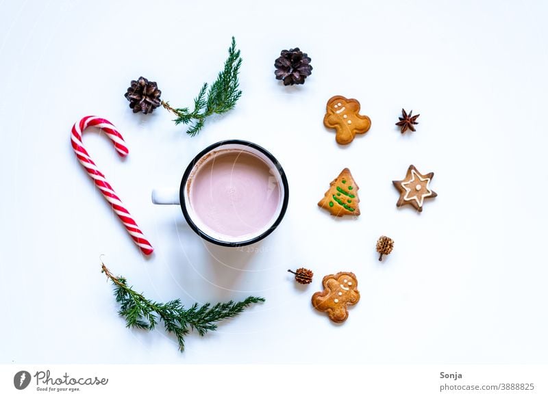 Eine Tasse Kakao mit Lebkuchen Keksen und einer Zuckerstange auf einem weißen Tisch Heißgetränk Weihnachten & Advent Tradition weißer Hintergrund flatlay Winter