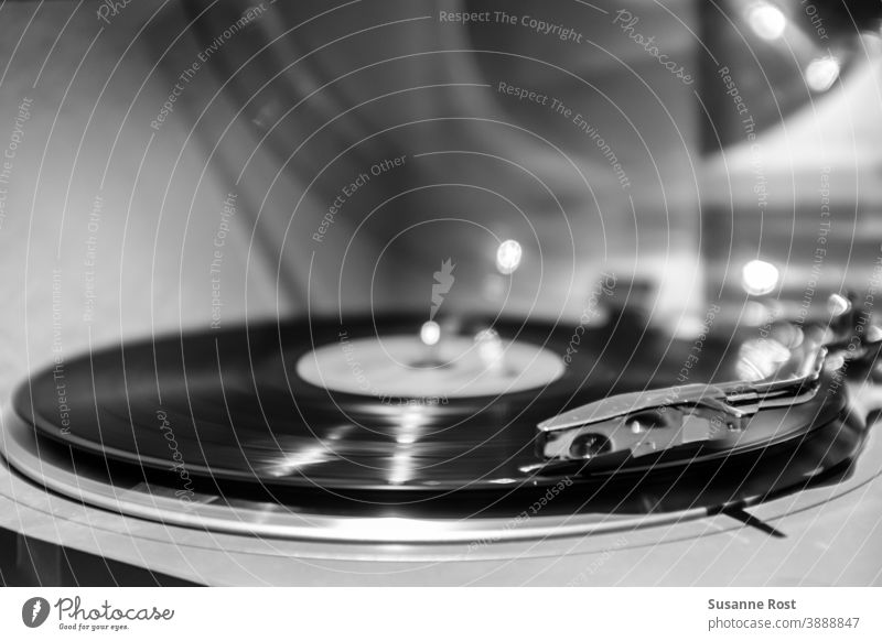 Die Vinyl-Scheibe dreht sich auf dem Plattenspieler Schallplatte Venyl Plattenteller Venylplatte Musik Tonabnehmer retro Musik hören Entertainment drehen