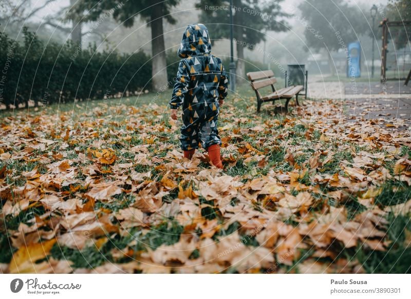 Kind mit roten Gummistiefeln beim Gang durchs Herbstlaub authentisch herbstlich Herbstfärbung fallen gefallen Blätter Laubwerk Tag Umwelt Außenaufnahme