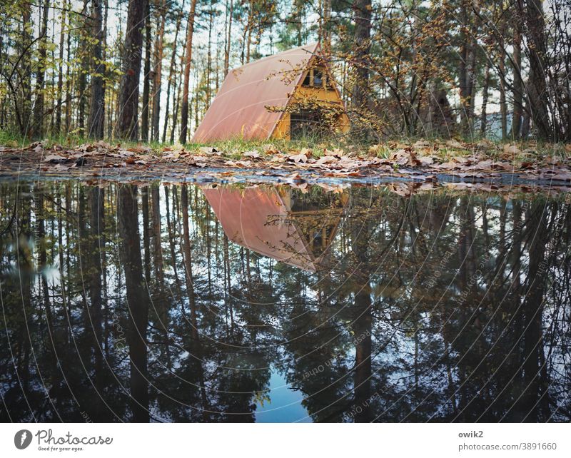 Wassergrundstück Feriensiedlung Außenaufnahme Bungalow Erholung Natur einfach Dachschräge Farbfoto Baum Landschaft Wald Ferienhütte Ferienhaus Dreieck Herbst