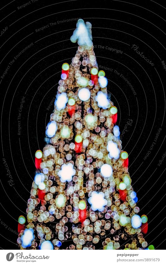Weihnachtsbaum Weihnachten & Advent Weihnachtsdekoration Tannenbaum weihnachtlich Dekoration & Verzierung Winter festlich Feste & Feiern Lichterkette