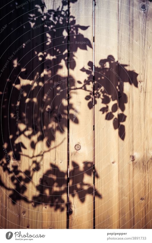Schatten von Blättern an einer Holzwand Schattenspiel Silhouette Licht Außenaufnahme Kontrast Farbfoto Sonnenlicht Menschenleer Strukturen & Formen