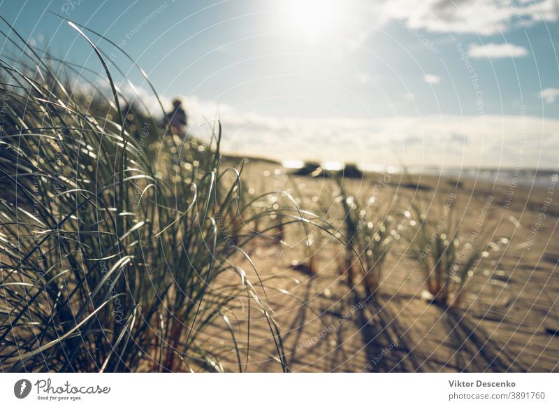 Sanddunen Mit Grunem Gras Im Herbst Ein Lizenzfreies Stock Foto Von Photocase