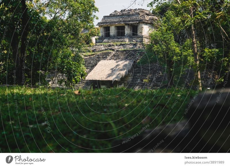 Kleiner pyramidenförmiger Maya-Ruinentempel auf der archäologischen Unesco-Stätte von Palenque, Chiapas, Mexiko antik Tourismus reisen Stein Pyramiden