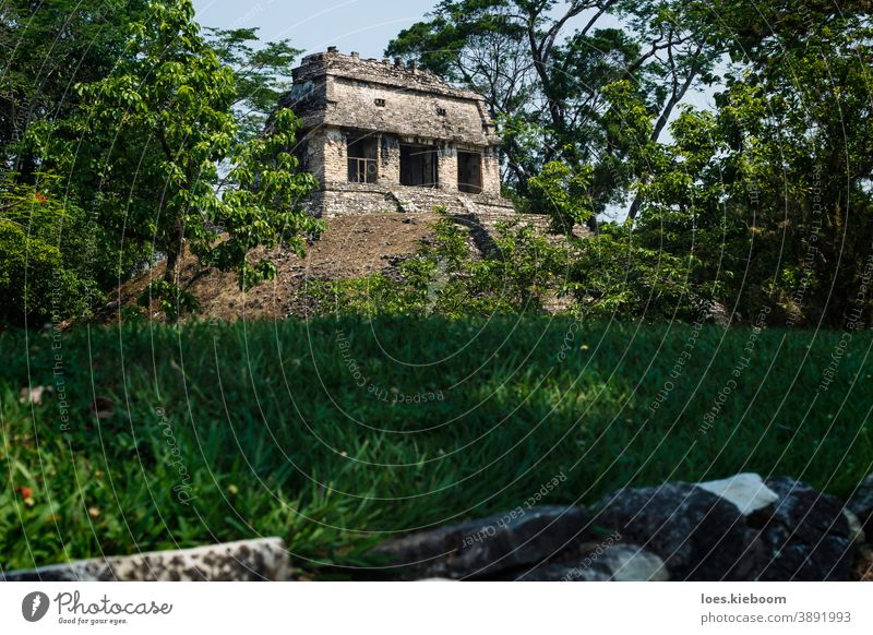 Kleiner pyramidenförmiger Maya-Ruinentempel an der archäologischen Stätte von Palenque, Chiapas, Mexiko antik Tourismus reisen Stein Pyramiden mexikanisch alt