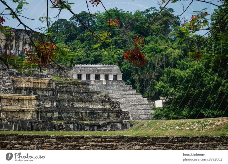 Tempel der Inschriften und Palast an der archäologischen Maya-Stätte in Palenque, Chiapas, Mexiko antik Tourismus reisen Stein Pyramiden mexikanisch alt Kultur