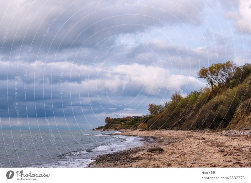 Steine an der Ostseeküste bei Meschendorf Küste Meer Mecklenburg-Vorpommern Strand Felsen Findlinge Baum Steilküste Himmel Wolken blau Wetter Klima Landschaft