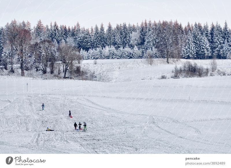 ski und rodel gut! Winter Kinder Schlitten rodeln schlittenfahren freudig Hügel Schnee zu Hause Rodeln weiß Mensch Spielen kalt Freude Kindheit Daheim Allgäu