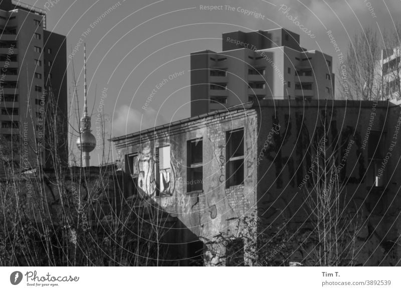 ein altes verlassenes Haus . Im Hintergrund die Plattenhochbauten an der Jannowitzstraße Altbau Berlin Mitte Fernsehturm tv tower s/w b/w Schwarzweißfoto b&w