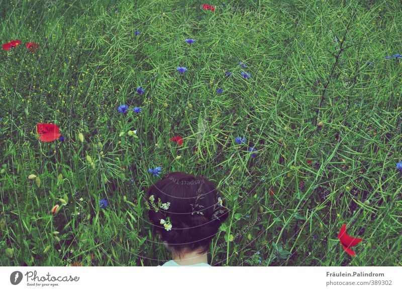 verwurzelt V. Mensch feminin Junge Frau Jugendliche Erwachsene Kopf Haare & Frisuren 1 18-30 Jahre Umwelt Natur Landschaft Pflanze Blume Gras Sträucher