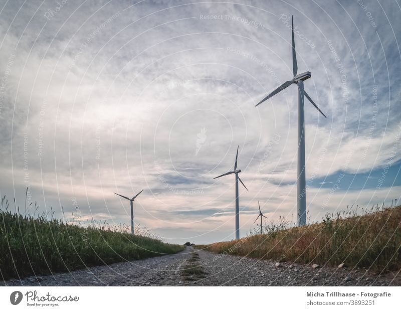 Windräder entlang des Feldweges Windkraftanlage Erneuerbare Energie Technik & Technologie Energiewirtschaft Elektrizität Strom Nachhaltigkeit Landwirtschaft