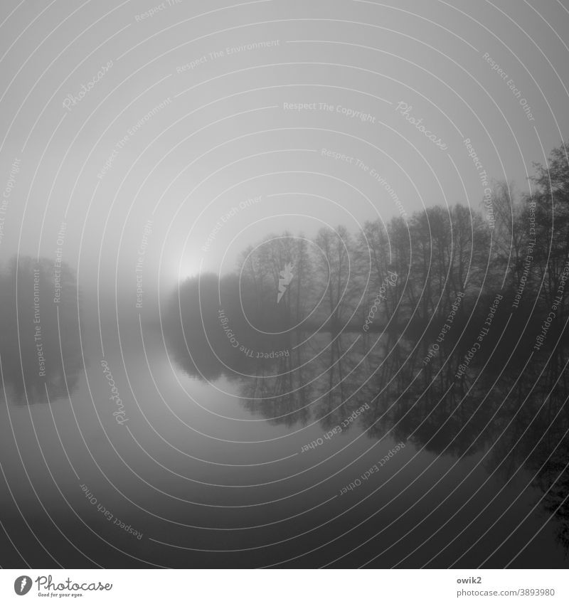 Nebelschau Schwarzweißfoto See Seeufer Sträucher Baum Landschaft Natur Umwelt Unendlichkeit Einsamkeit Ewigkeit Trauer Traurigkeit trist Hoffnung friedlich