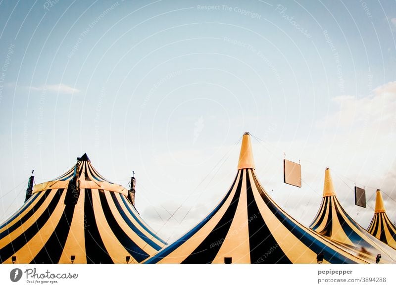 schwarz gelb gestreifte Zelte Zelteingang Dächer Zirkus Zirkuszelt Außenaufnahme Farbfoto Menschenleer Veranstaltung Jahrmarkt Tag Entertainment Show Himmel