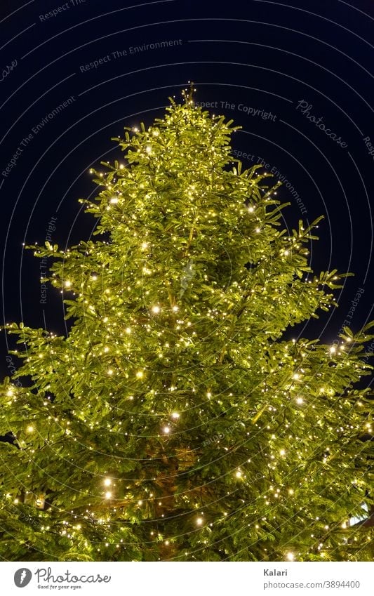 Ein Tannenbaum mit Lichterkette leuchtet bei Nacht Weihnachtsbaum weihnachtlich Weihnachtsdekoration Christbaum geschmückt beleuchtet groß Weihnachten festlich