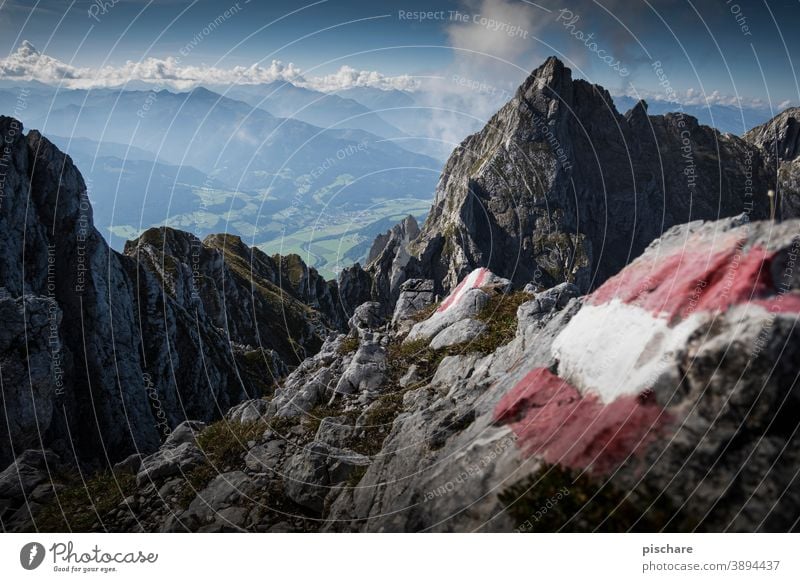 Aufstieg Grimming Gipfel Berge Österreich wandern Berge u. Gebirge Alpen Landschaft Natur Außenaufnahme Farbfoto Ferien & Urlaub & Reisen Felsen Ausflug