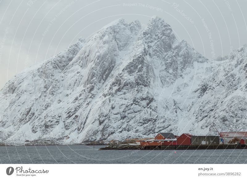 verschneiter Berg am Fjord mit kleinen roten Hütten im Vordergrund Sund Lofoten Norwegen Skandinavien Schnee Winter Rorbuer Hüttenferien Wasser Meer