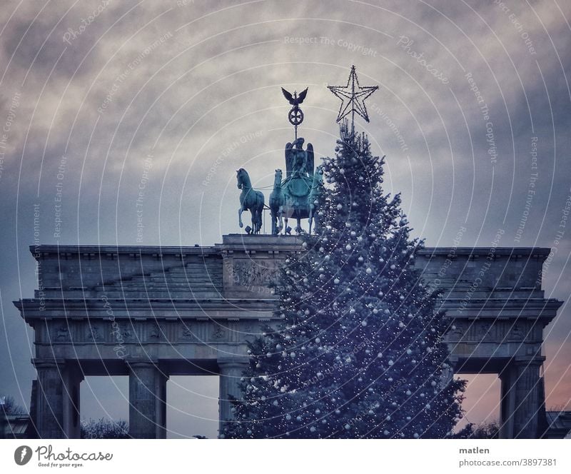 Quadriga folgt dem Stern Berlin Brandenburger Tor Hauptstadt Sehenswürdigkeit Berlin-Mitte Stern (Symbol) Weihnachtsbaum geschmückt Himmel Wolken Dämmerung