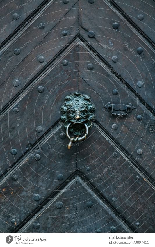 Alte Holzeingangstüre mit Messingbeschlägen Türe Beschläge Motiv Emblem Türöffner vintage retro Mittelalter Fischgrätenmuster Nasenring